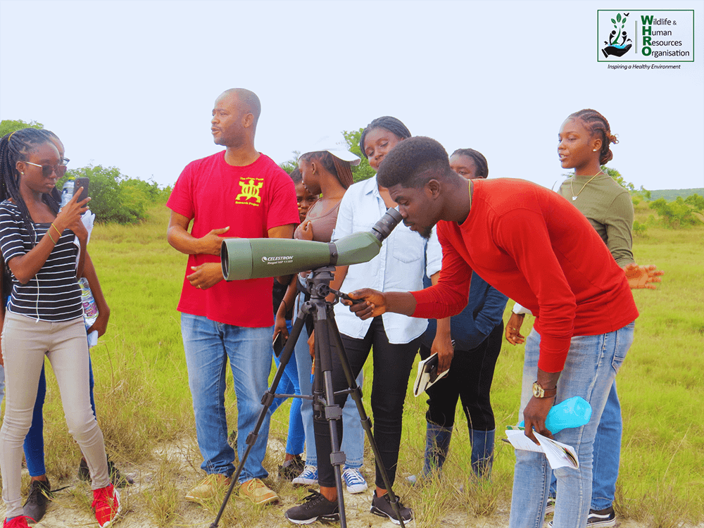 Volunteer & Internship Progammes