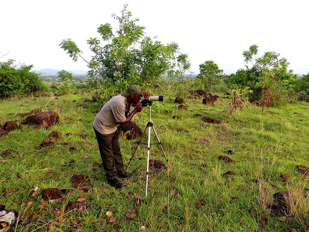 Biodiversity Monitoring