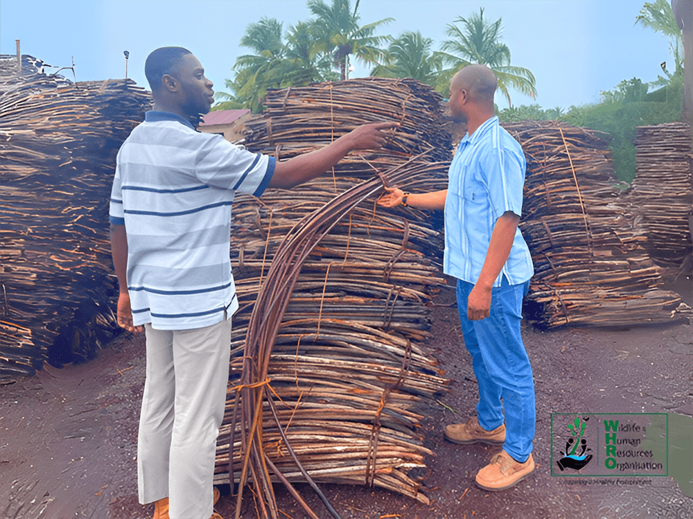 Anyanui Mangrove Market