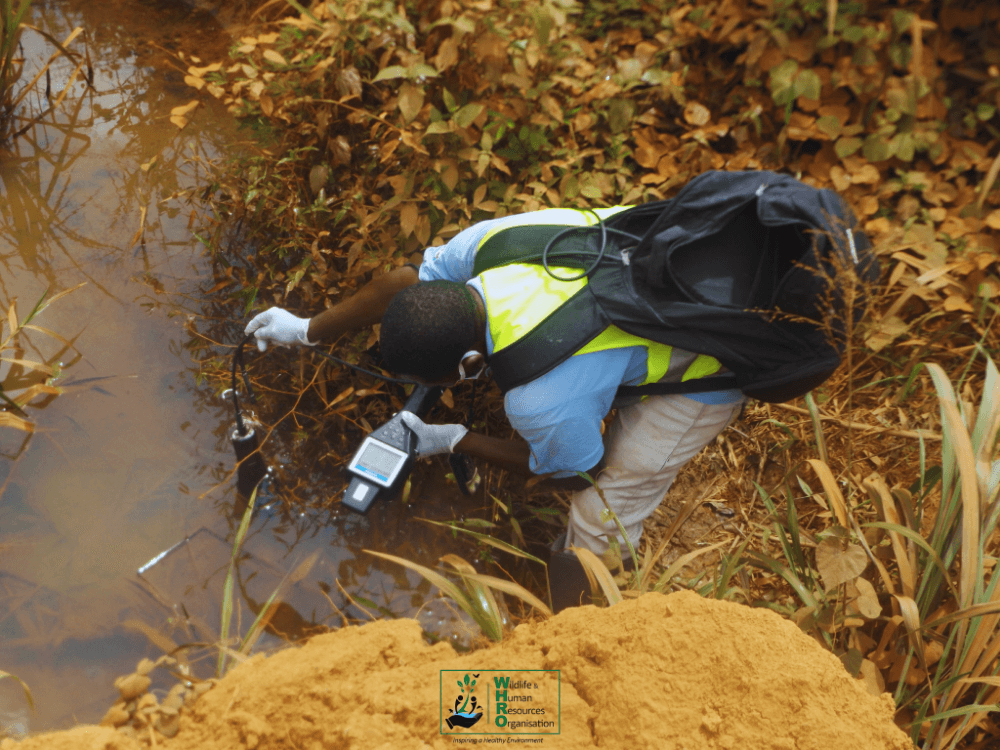 Environmental Monitoring