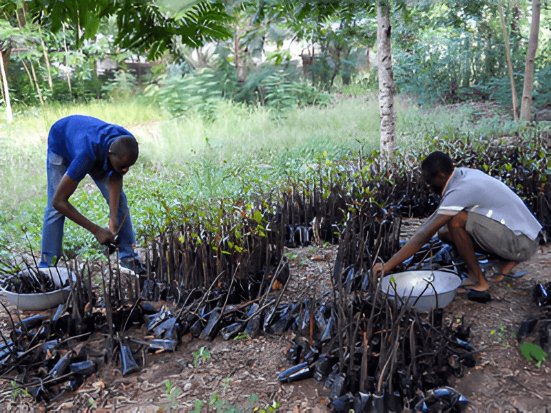 Habitat Restoration & Species Conservation