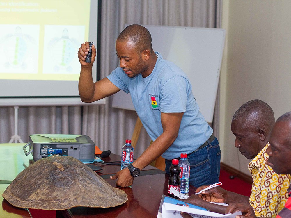 Training & Capacity Building