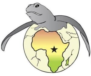 turtle logo
