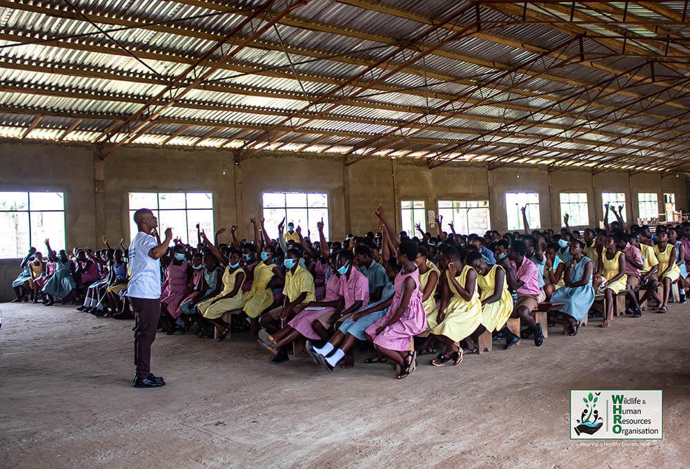 young scientist programme