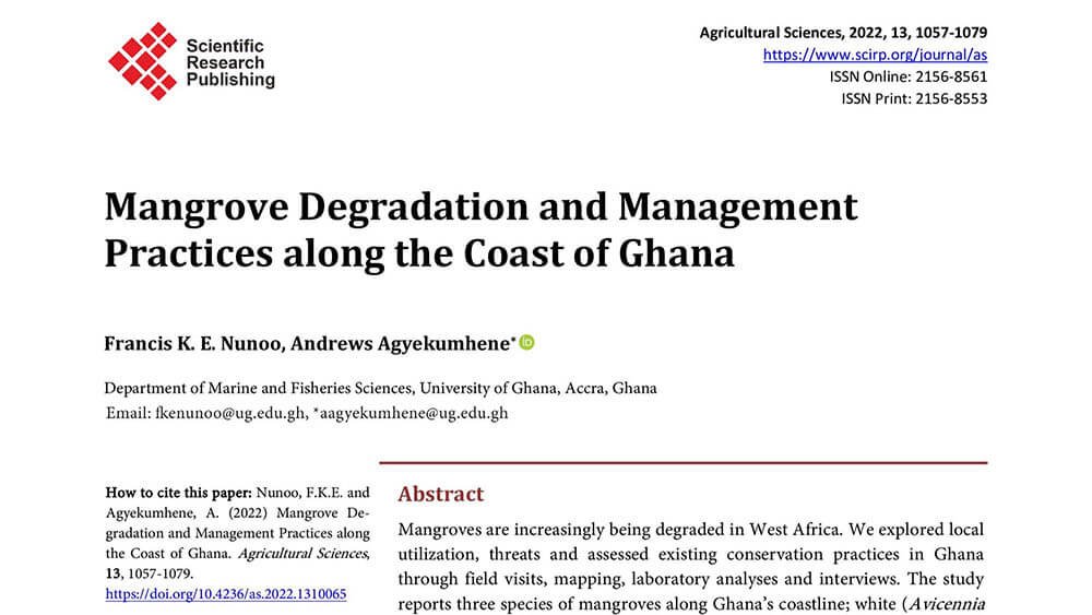 Mangrove Degradation