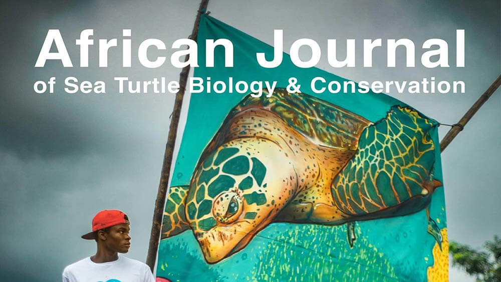 Guiding Framework to Address Sea Turtle Poaching